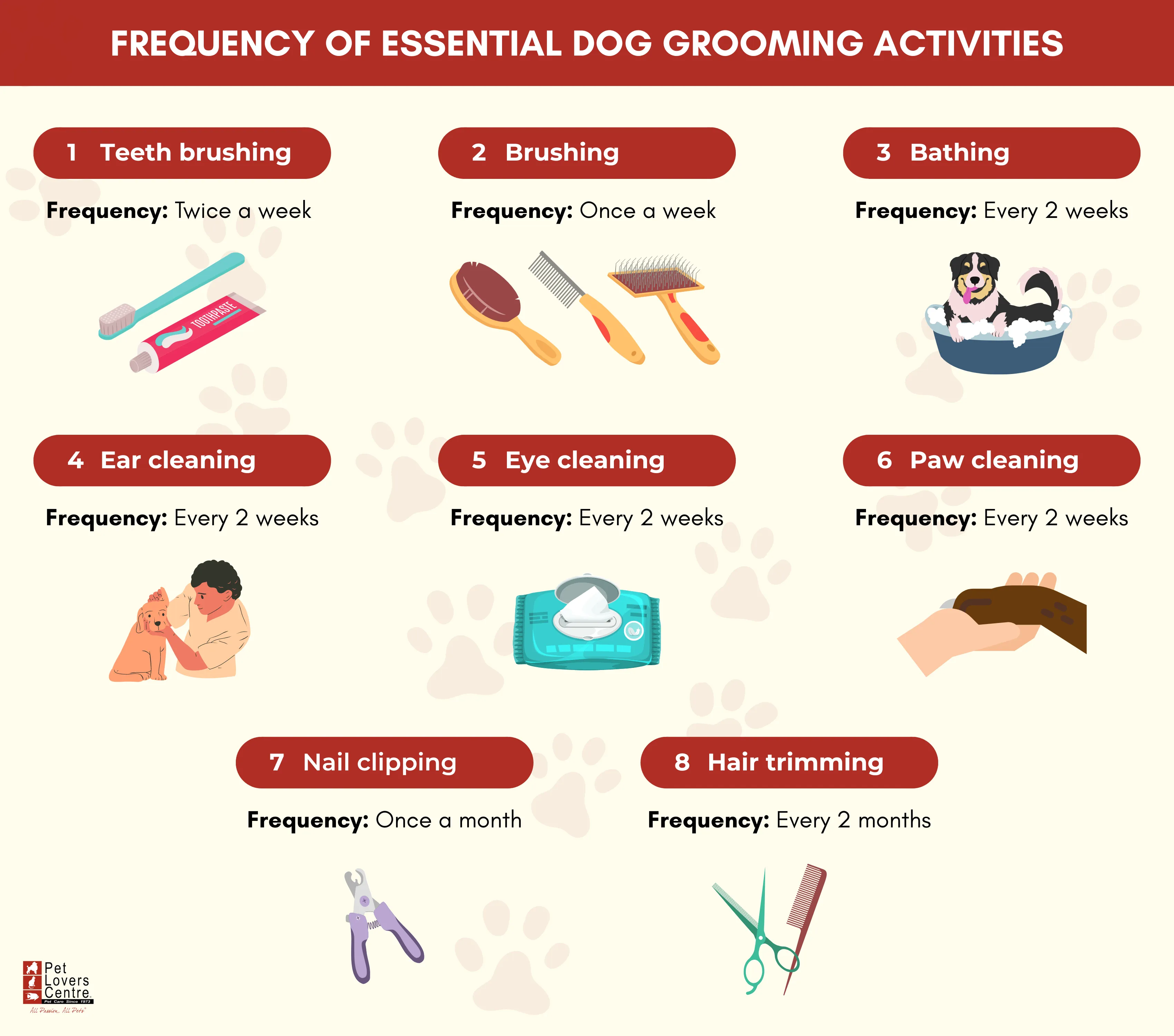 Infographic showing the frequency of essential dog grooming activities
