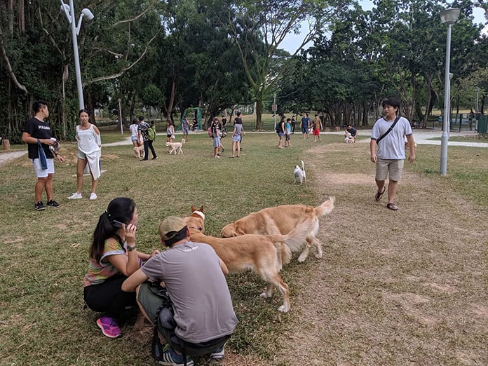 Dog Park in Bishan
