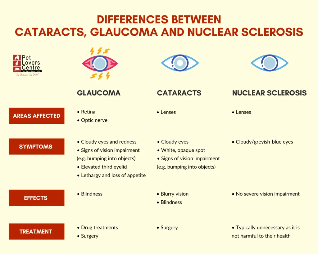 how does glaucoma get treated in a dog