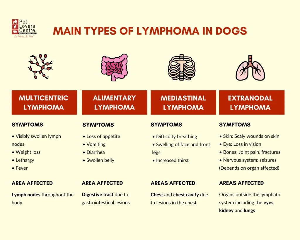 what are the signs and symptoms of lymphoma in dogs