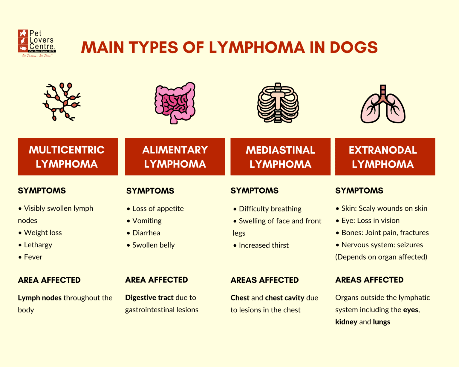 lymphoma-in-dogs-causes-signs-treatment-vet-advice