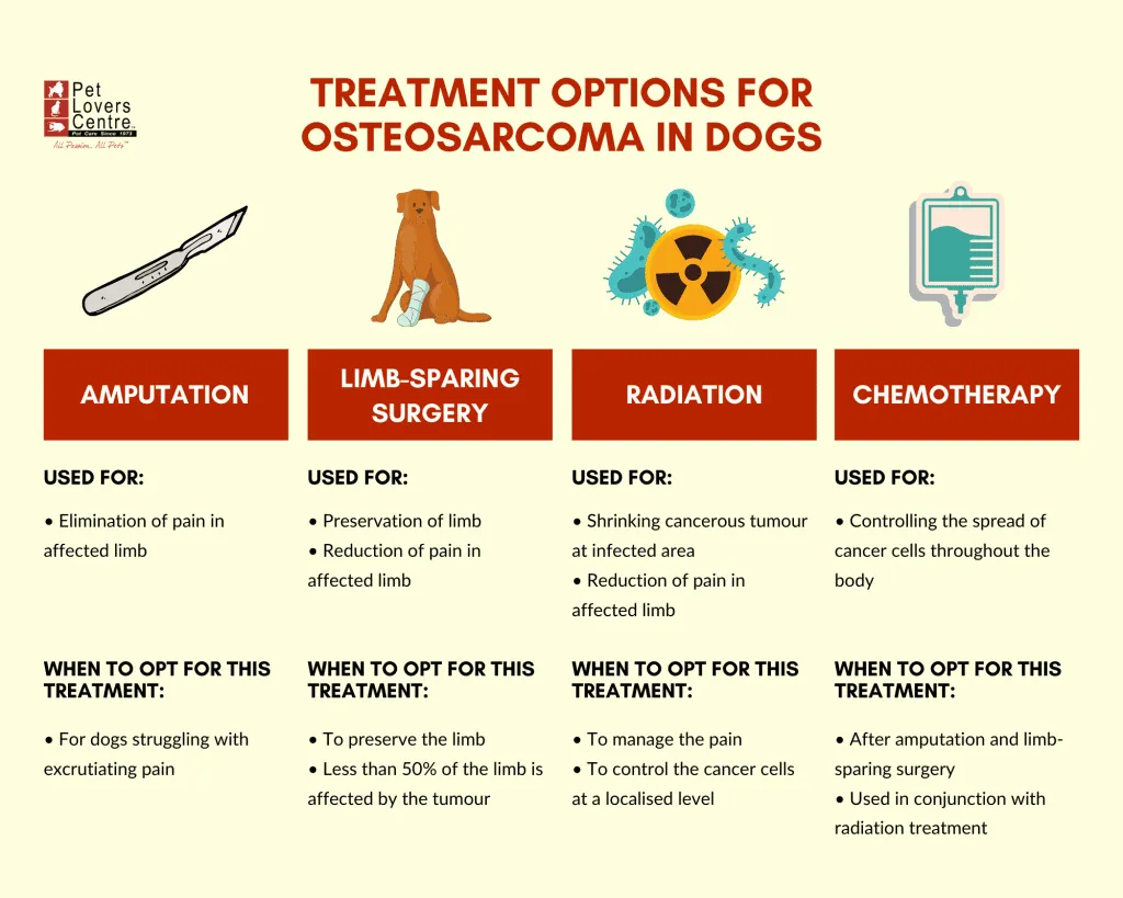 what are the first signs of osteosarcoma in dogs