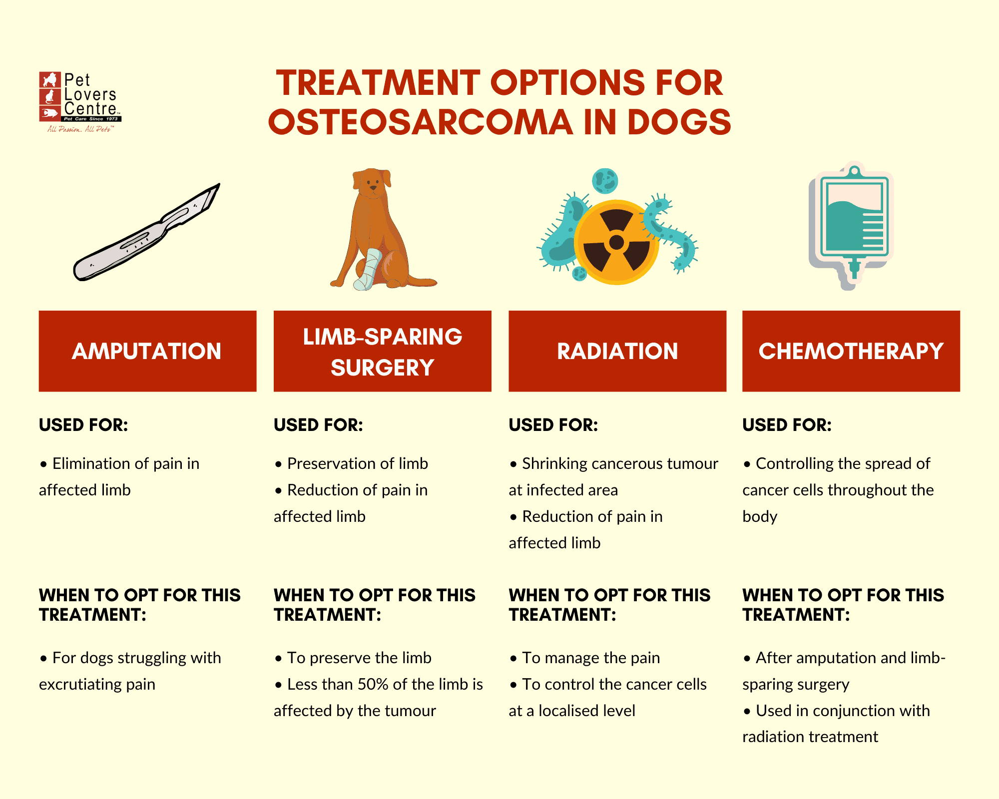 osteosarcoma-in-dogs-symptoms-treatment-vet-insights