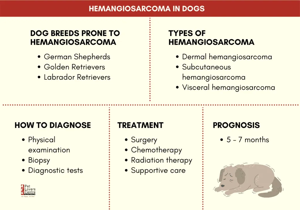 how long will a dog with untreated skin hemangioma hemangiosarcoma