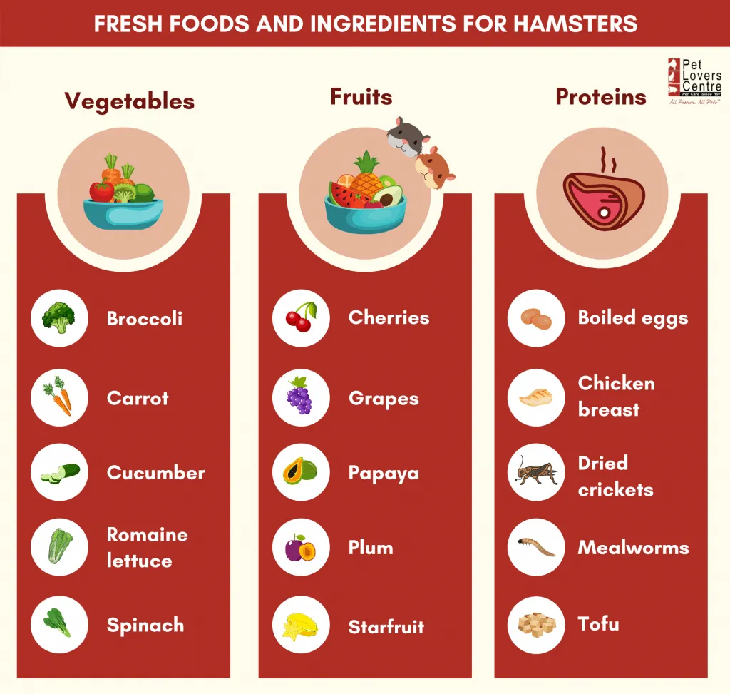 Good veggies 2025 for hamsters