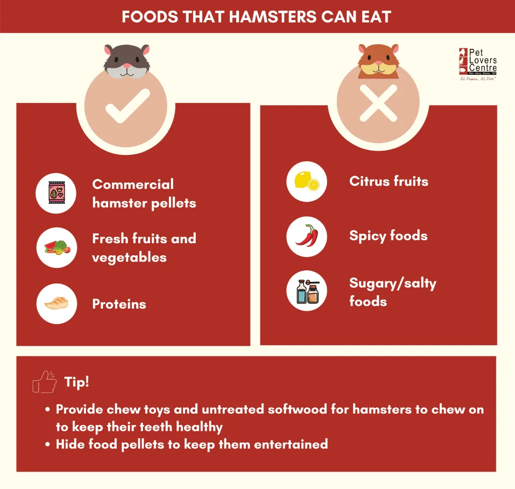 fresh food to give hamsters