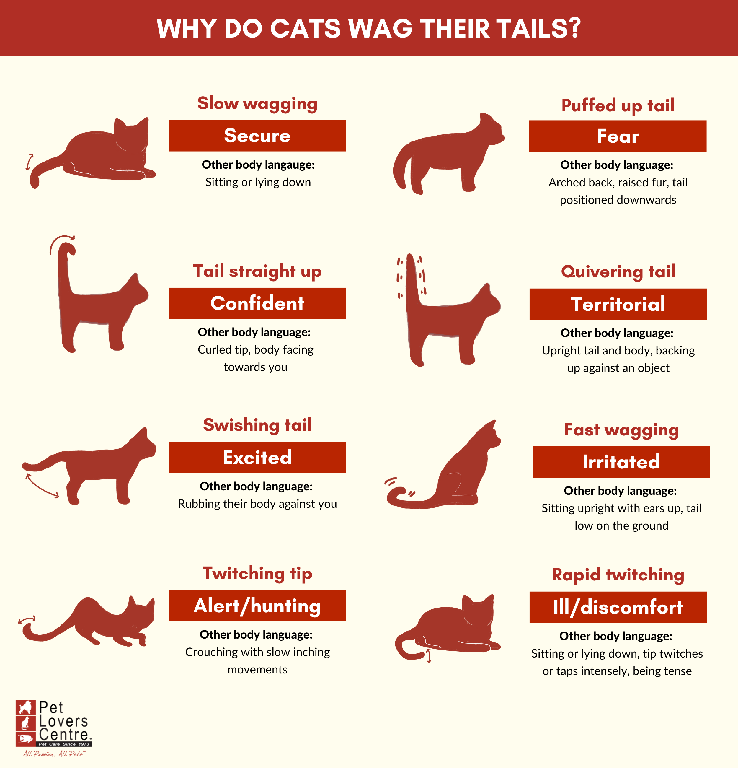 Why Do Cats Wag Their Tails: Reasons & Expert Tips [+ FAQs]