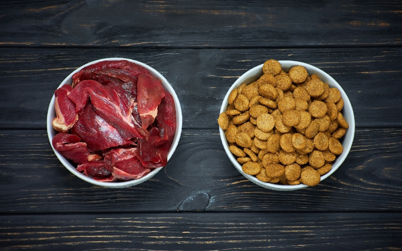 highest rated raw dog food