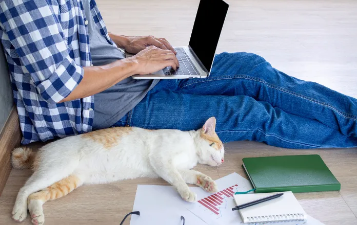 Cat sleeping on the floor lying next to a man using a laptop