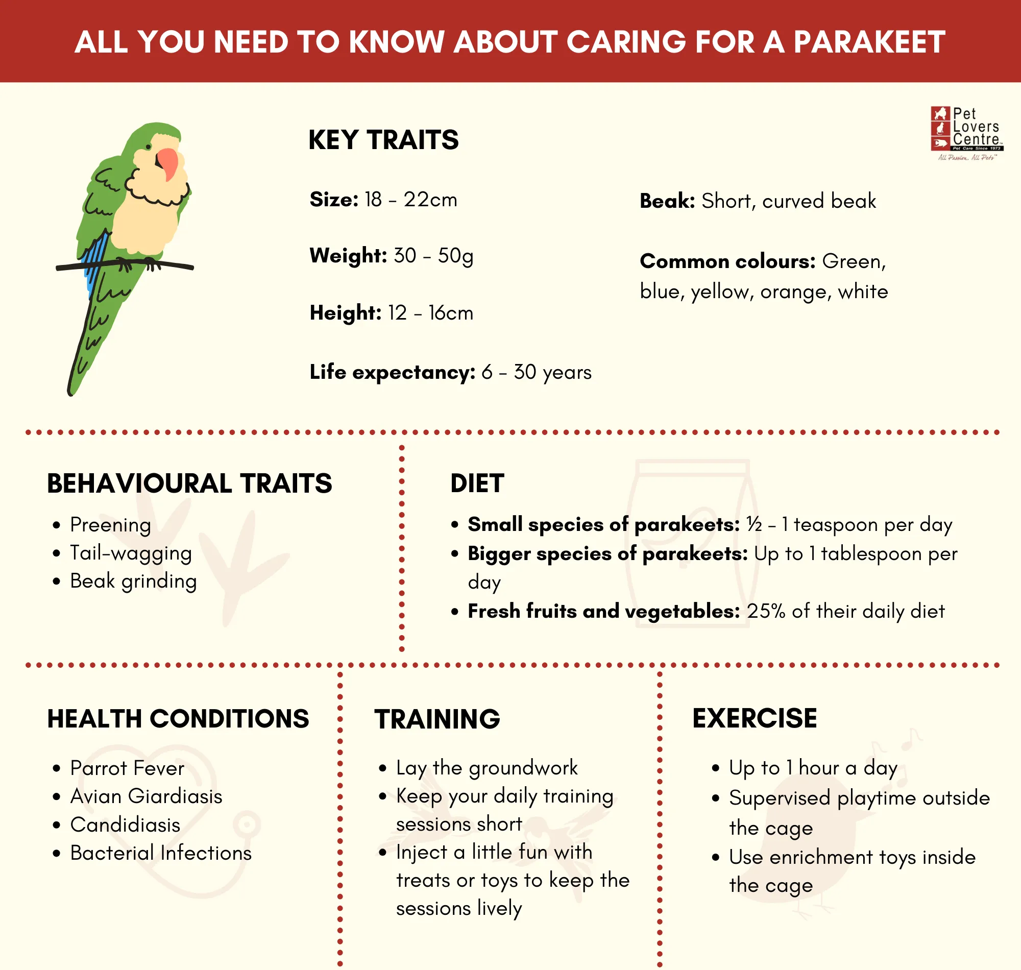Caring for a Parakeet infographic